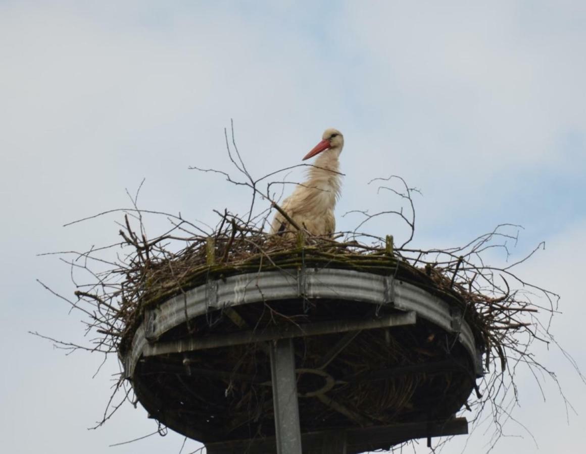 Storchennest An Der Spree In Radinkendorf Daire Beeskow Dış mekan fotoğraf
