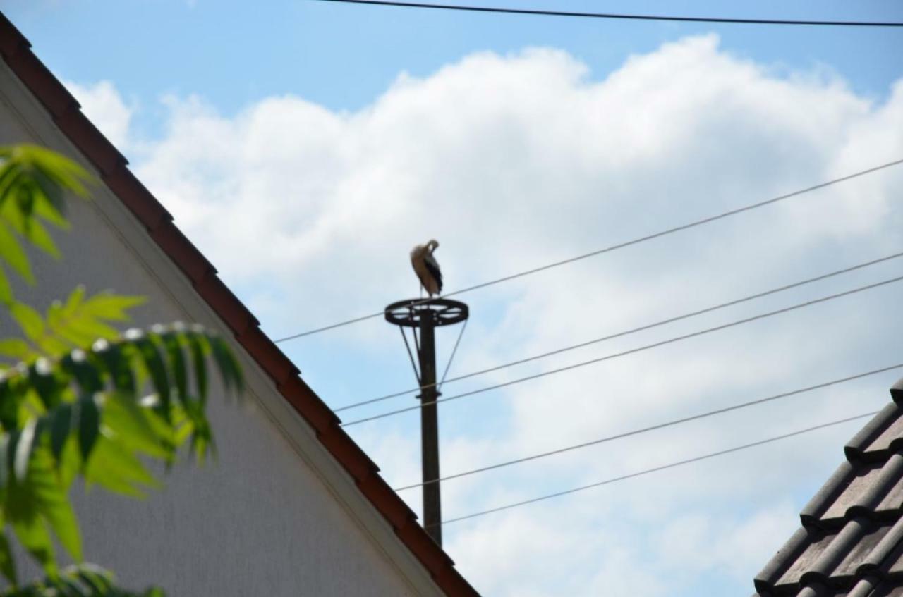Storchennest An Der Spree In Radinkendorf Daire Beeskow Dış mekan fotoğraf